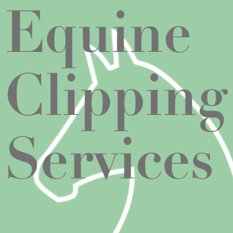 Equine Clipping Services